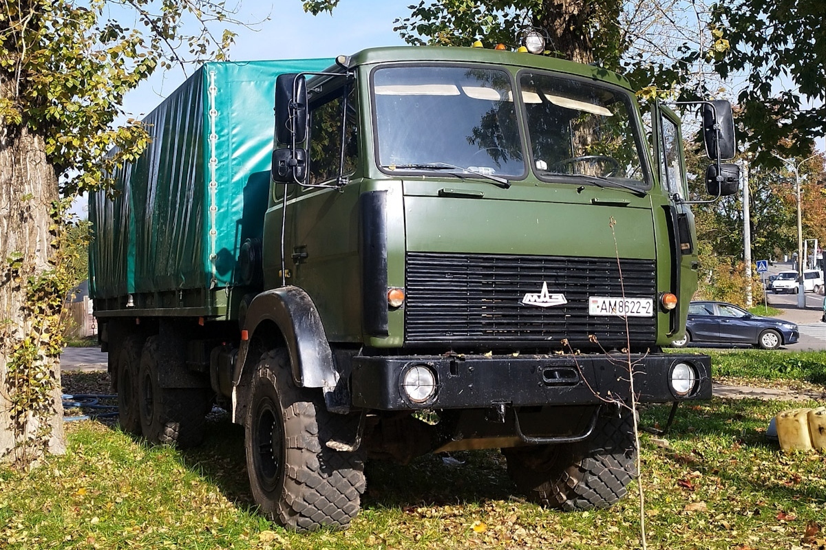 Витебская область, № АМ 8622-2 — МАЗ-6317 (общая модель)
