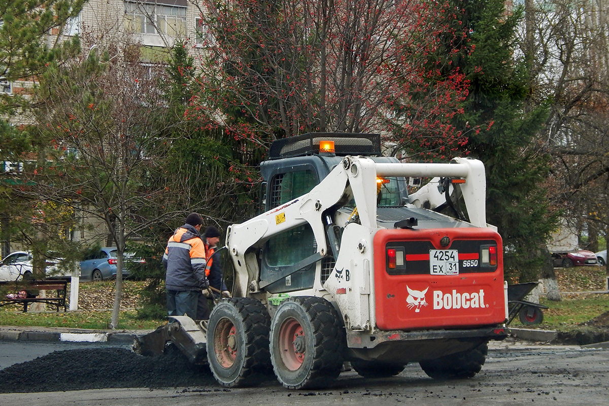 Белгородская область, № 4254 ЕХ 31 — Bobcat S650