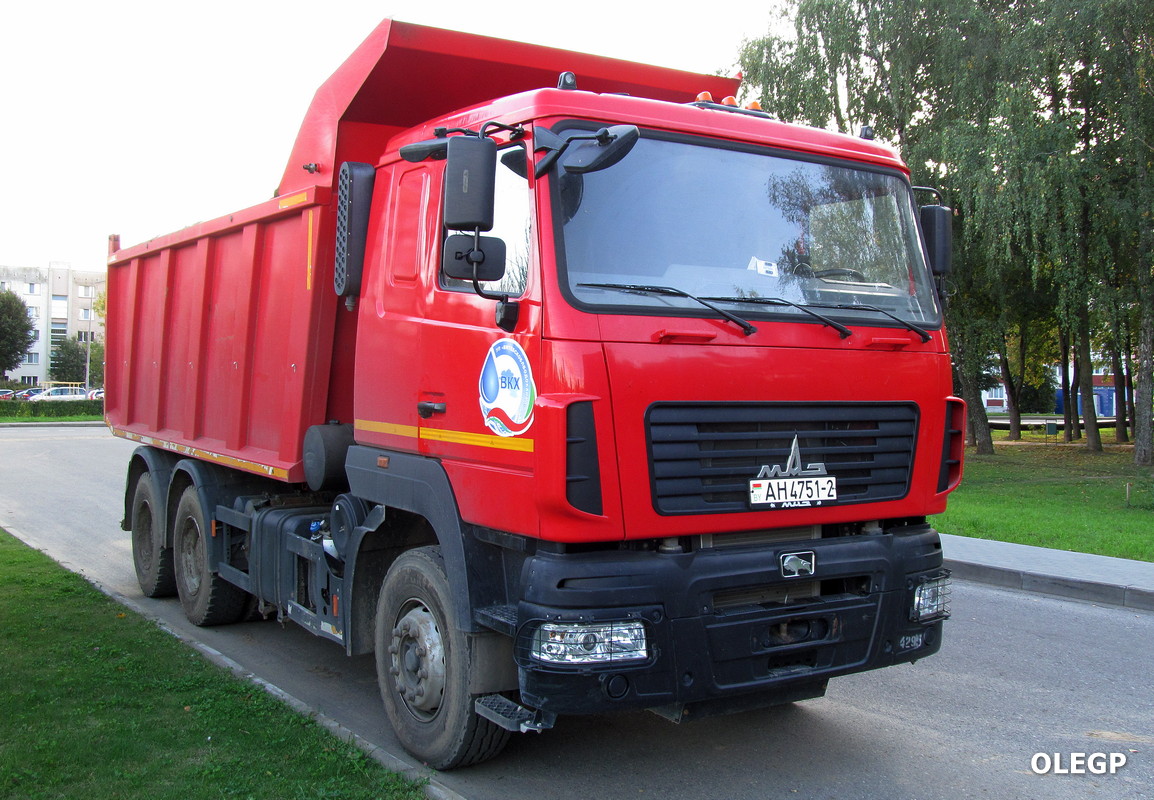 Витебская область, № АН 4751-2 — МАЗ-650128