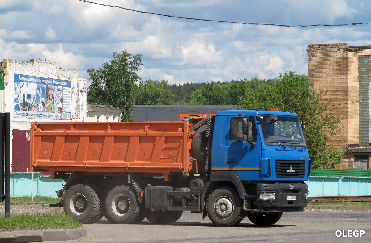 Витебская область, № АК 7387-2 — МАЗ-6501 (общая модель)