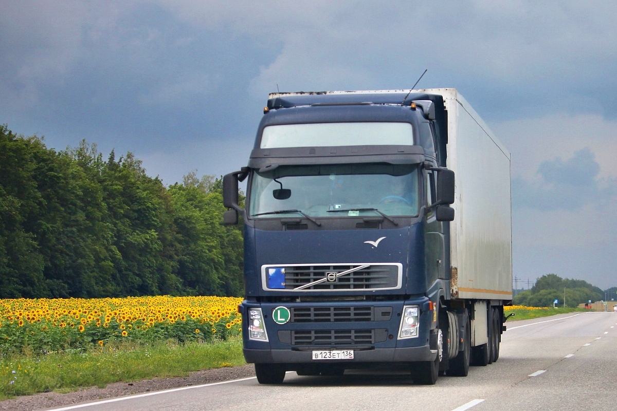 Воронежская область, № В 123 ЕТ 136 — Volvo ('2002) FH12.440