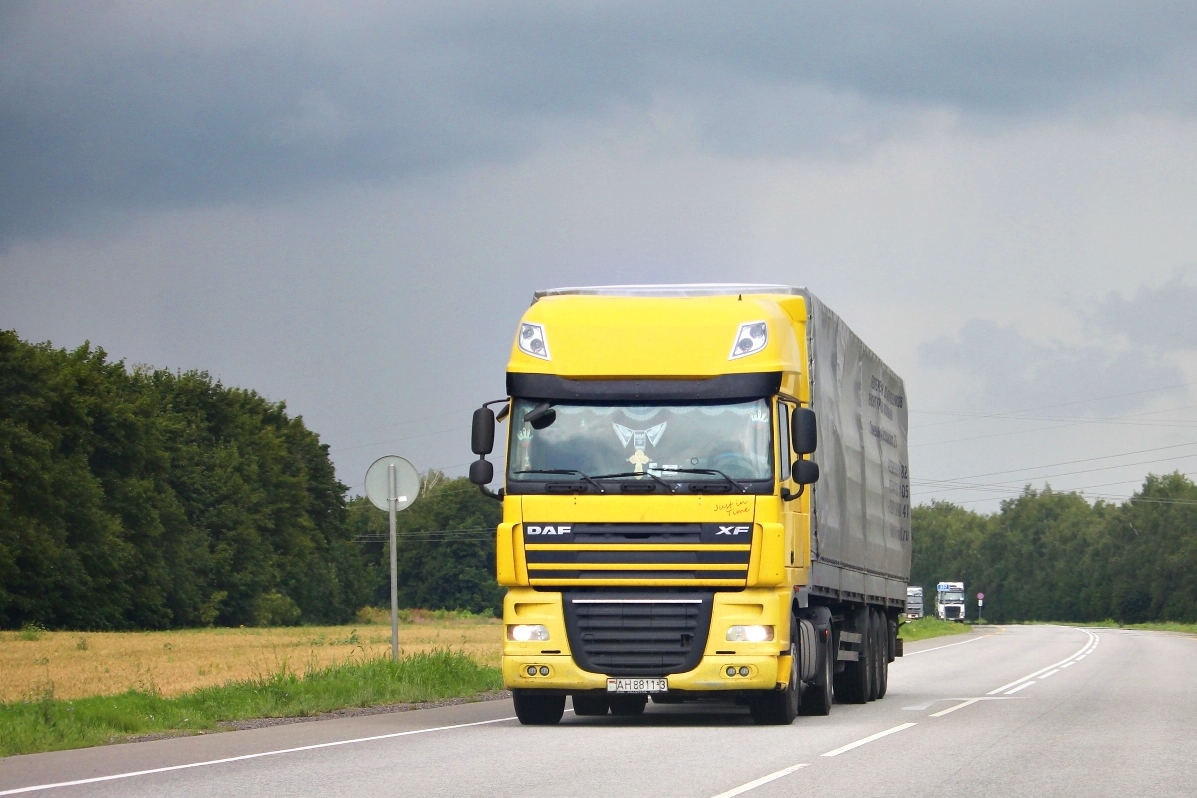 Гомельская область, № АН 8811-3 — DAF XF105 FT