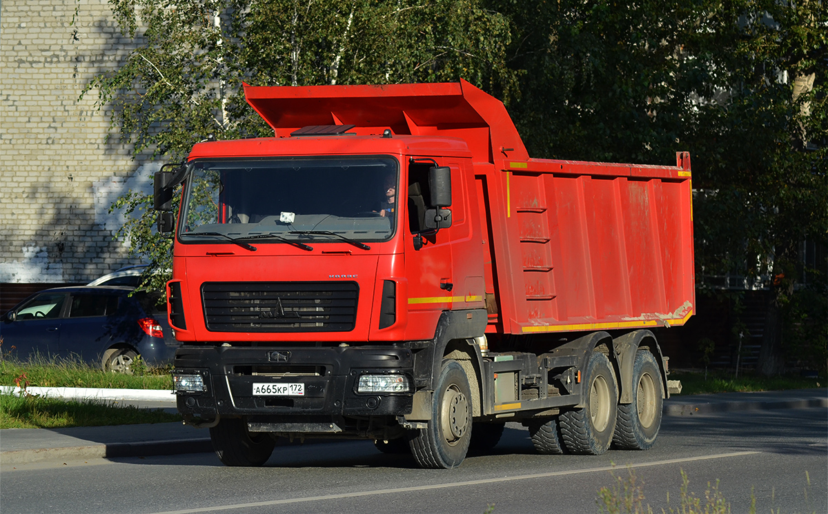Тюменская область, № А 665 КР 172 — МАЗ-650128