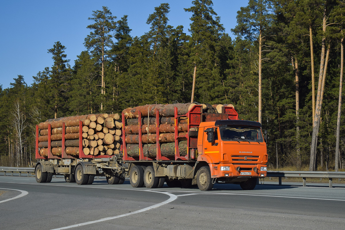 Алтайский край, № В 134 ЕК 122 — КамАЗ-65111-50