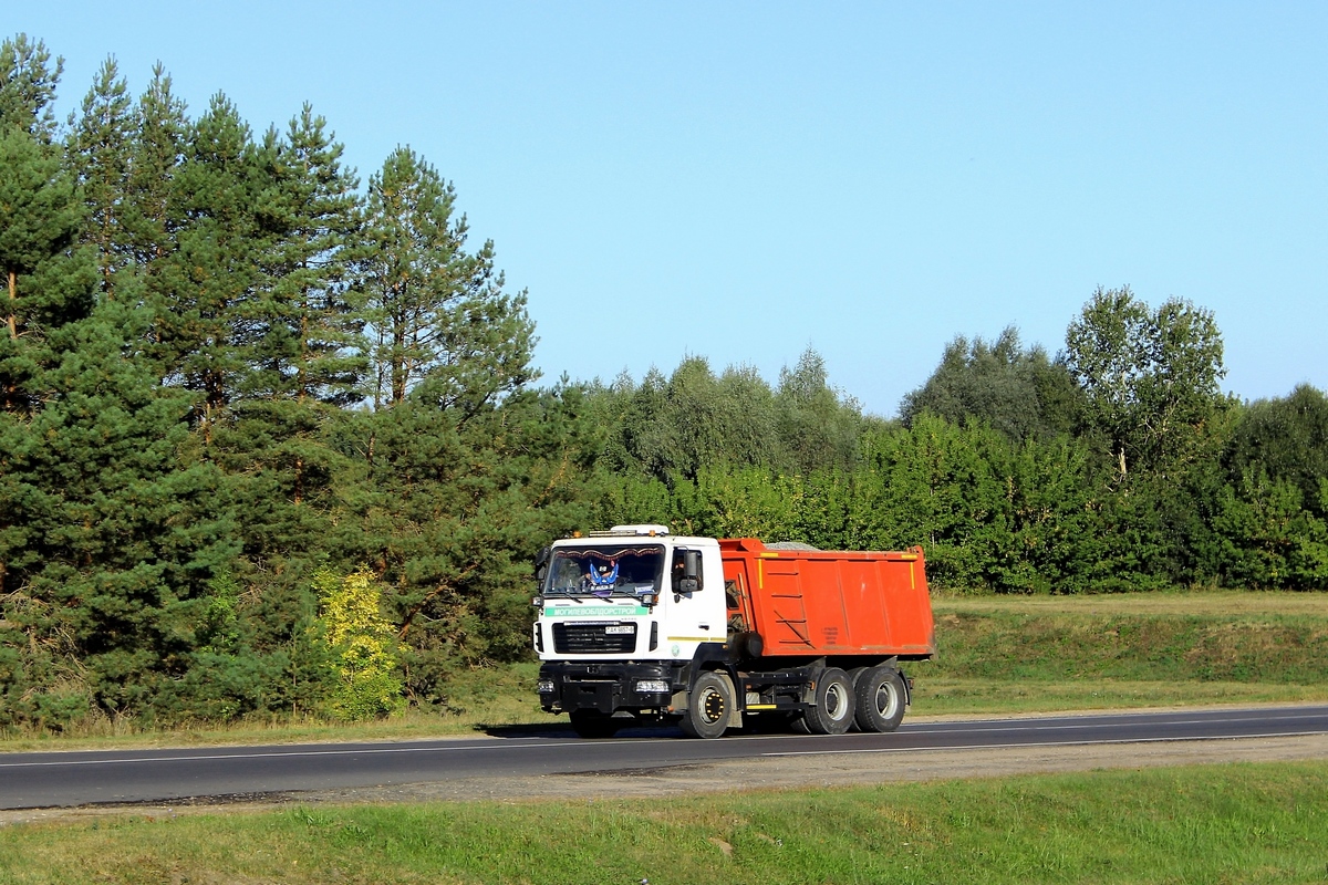 Могилёвская область, № АК 9857-6 — МАЗ-6501 (общая модель)